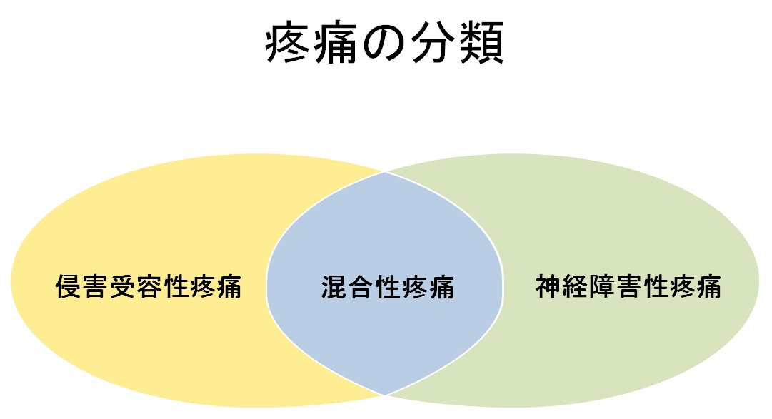 難治性疼痛 | 名古屋大学大学院医学系研究科 脳神経外科学(名古屋大学 